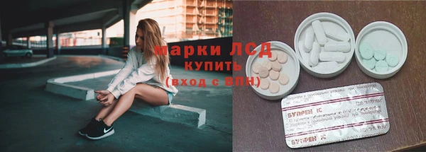 индика Вязьма