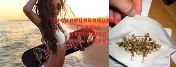 бошки Горнозаводск
