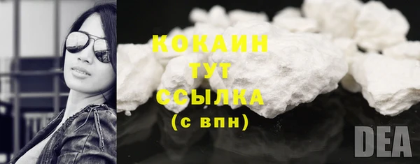 индика Вязьма