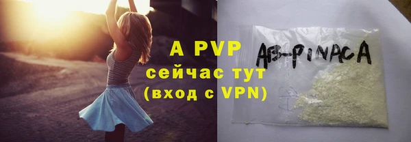индика Вязьма