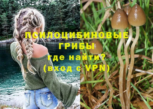 бошки Горнозаводск