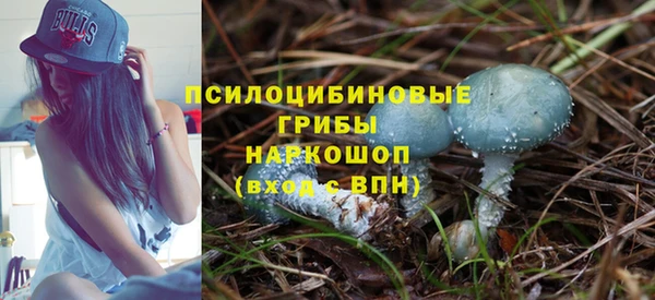 индика Вязьма