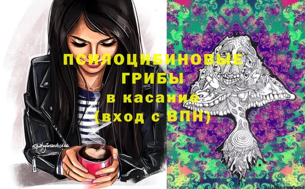 индика Вязьма